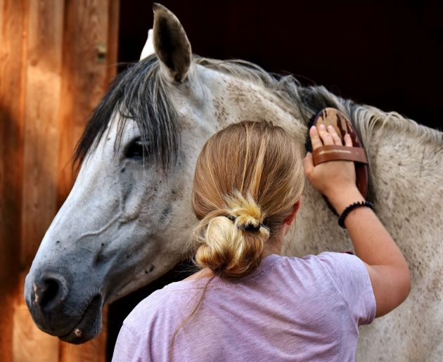 Reiten im Oberkarteis