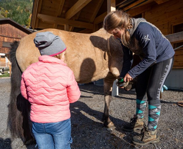 Reiten im Oberkarteis