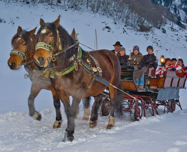 Pferdekutschenfahrt mit der ganzen Familie