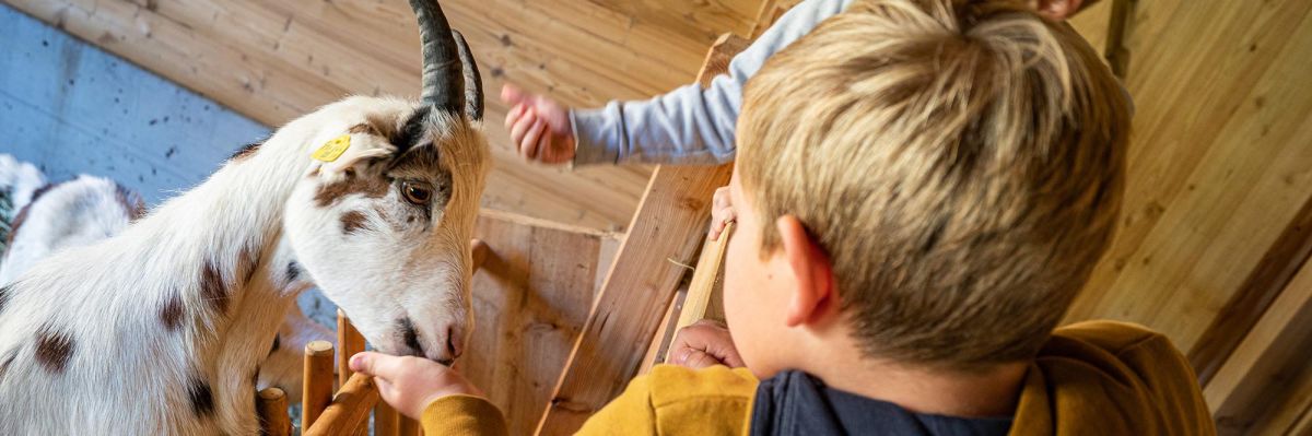 Unsere Tiere vom eigenen freuen sich auf alle Kinder