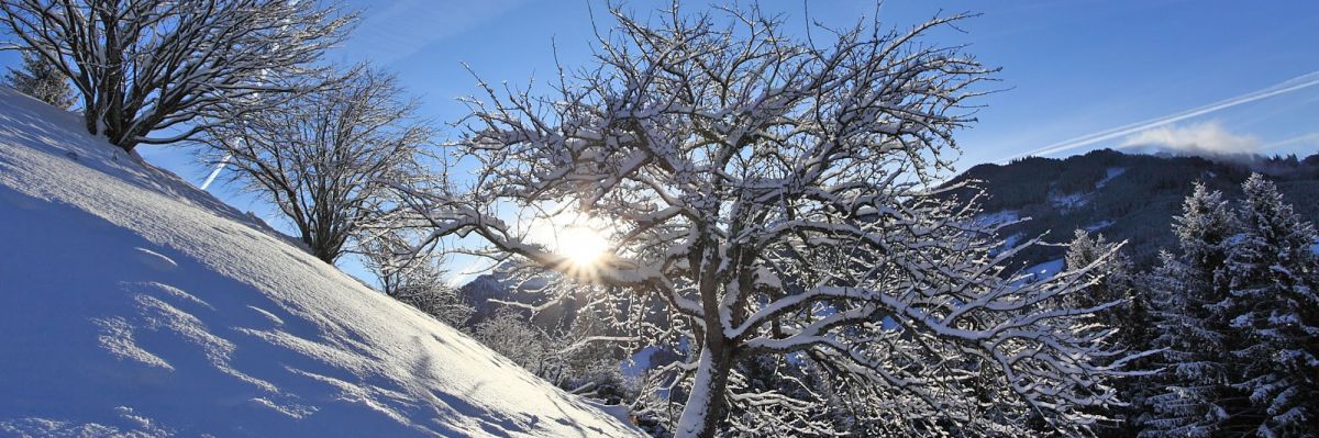 Traumhafte Natur erleben beim Winterurlaub in Österreich